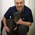 Business 4 image ALL CARE VETERINARY CENTRE Veterinarians in Killarney KY