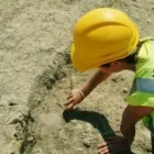 Business 2 image ARCHAEOLOGICAL CONSULTANCY SERVICES UNIT Real Estate & Home Improvement in Drogheda LH