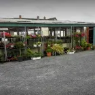 Business 2 image ARTHUR'S NURSERIES Tree Work & Forestry Services in Louth IE


