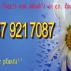 Business 5 image ARTHUR'S NURSERIES Tree Work & Forestry Services in Louth IE


