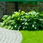 Business 2 image ASHWOOD TREE SERVICES Tree Work & Forestry Services in Dublin IE


