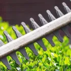 Business 4 image ASHWOOD TREE SERVICES Tree Work & Forestry Services in Dublin IE


