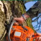 Business 7 image ASHWOOD TREE SERVICES Tree Work & Forestry Services in Dublin IE


