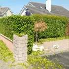 Business 3 image ATLAS GARDENING AND STEAM CLEANING Trees & Shrubs in Dublin D