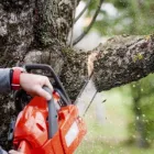 Business 6 image ATLAS GARDENING AND STEAM CLEANING Trees & Shrubs in Dublin D