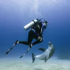 Business 7 image ATLASTRAVEL.IE BUS & COACH HIRE Travel & Tourism in Killarney KY