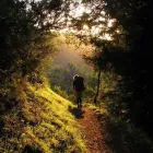 Business 9 image ATLASTRAVEL.IE BUS & COACH HIRE Travel & Tourism in Killarney KY