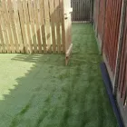 Business 5 image BALLYMITTY LANDSCAPING Landscaping & Gardening Services in Wexford WX