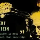 Business 1 image BEEAWARRIOR - LIFE COACH AND HIPNOSIS Personal Coaches & Life Coaches in Dublin IE


