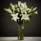 Business 4 image BLOOM MAGIC FLOWER DELIVERY Real Estate & Home Improvement in Dublin IE


