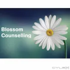 Business 1 image BLOSSOM COUNSELLING Solicitors in Tipperary TA