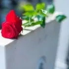 Business 1 image BOYLE MEMORIALS Monumental Masons & Memorials in Donegal DL