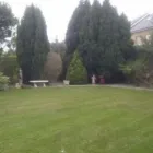 Business 2 image BUZZEN OUTDOORS Tree Work & Forestry Services in Dublin IE


