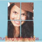 Business 3 image CAMVAS Signs, Banners & Display Systems in Dublin IE


