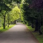 Business 1 image CARA COUNSELLING Psychologists in Loughrea G