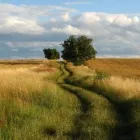 Business 5 image CAROLINE CROTTY B.SOC.SC. M.A. Psychotherapists in Cork CO