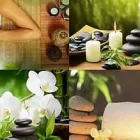 Business 4 image CAVAN THERAPEUTIC LIFE COACHING, MASSAGE AND REIKI Massage Therapists in Cavan IE



