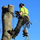 Business 1 image CAVAN TREE SERVICES Tree Work & Forestry Services in Cavan IE


