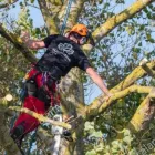 Business 4 image CAVAN TREE SERVICES Tree Work & Forestry Services in Cavan IE


