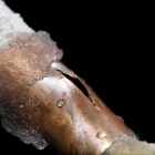 Business 3 image CITY PLUMBERS DUBLIN Real Estate & Home Improvement in Dublin IE


