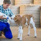 Business 2 image COUNTRY PRODUCTS LIMITED Industries & Agriculture in Meath KK