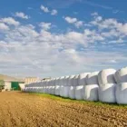 Business 11 image COUNTRY PRODUCTS LIMITED Industries & Agriculture in Meath KK