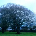 Business 3 image D & J TREE SERVICES Wood Cutting Services in Passage East WD