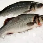 Business 7 image DALY'S SEAFOOD LTD Food & Beverage in Nenagh TA