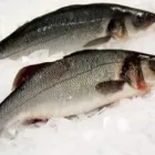 Business 3 image DALY'S SEAFOOD Food & Beverage in Castleisland KY