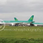 Business 7 image DAVID O'SHEA PHOTOGRAPHY Photographers in Dublin D