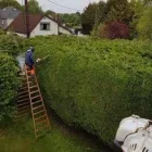 Business 3 image DC TREE SERVICES Tree Work & Forestry Services in Dublin IE


