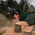 Business 6 image DC TREE SERVICES Tree Work & Forestry Services in Dublin IE


