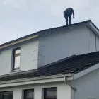 Business 6 image DELTA ROOFING KILDARE Roofing Contractors in Newbridge KE