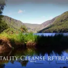 Business 2 image DETOX HOLIDAY IRELAND Reproductive Health & Fertility Clinics in Ballsbridge D