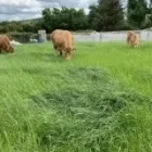 Business 3 image DOOLEY AGRICULTURAL LTD Industries & Agriculture in Monaghan MN