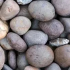 Business 3 image ECT SAND & GRAVEL Sand & Gravel Suppliers in Wicklow WW