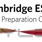 Business 1 image ENGLISH SCHOOL DUBLIN Tutoring & Private Tuition in Dublin D