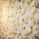 Business 7 image EPIPHANY WEDDINGS & EVENTS Wedding Planners in Bandon CO