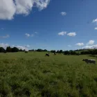 Business 2 image FARMS-FOR-SALE-IRELAND-UK/ Auctioneers, Estate Agents & Valuers in Bundoran DL