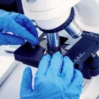 Business 1 image FERTILITY CARE DUBLIN Reproductive Health & Fertility Clinics in Dublin IE


