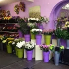 Business 2 image FLOWERS BY DOROTHY Shopping in Tipperary TA