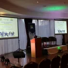 Business 3 image FOLEY SOUND ENGINEERING LTD Shopping in Carlow IE


