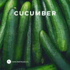 Business 5 image FRESH FOOD CO EU Fruit & Vegetable Merchants & Markets in Dublin D