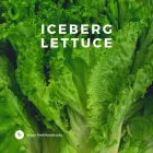 Business 14 image FRESH FOOD CO EU Fruit & Vegetable Merchants & Markets in Dublin D