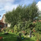 Business 1 image G.H.S TREE CARE Tree Work & Forestry Services in Dublin IE


