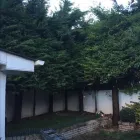 Business 3 image G.H.S TREE CARE Tree Work & Forestry Services in Dublin IE


