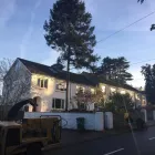 Business 4 image G.H.S TREE CARE Tree Work & Forestry Services in Dublin IE


