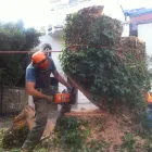 Business 1 image GECKO TREE CARE Tree Work & Forestry Services in Dublin IE


