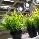 Business 4 image GET UP & GROW Garden - Equipment & Supplies in Dublin IE


