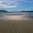 Business 2 image HELENE BRENNAN PAINTINGS AND PHOTOS Shopping in Dingle KY